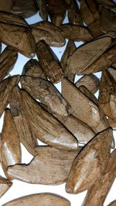 Kayu Gaharu Wangi Kalimantan KGSK01 - Kayu Gaharu Asli dari Kalimantan dengan Aroma Khas - 25g
