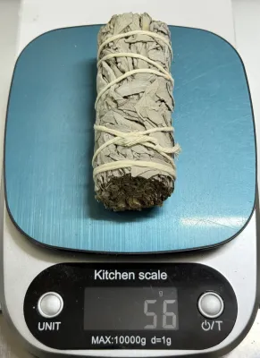 Xô Thơm Trắng (White Sage)_THANH TẨY NHÀ CỬA_SAGE GARDEN
