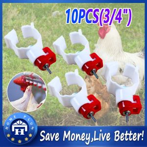 【Local delivery】 10pcs 20mm Chicken nipple drinkers Ball Waterer Quail drinking Animal feeder Fast Shipping Yellow Chicken-Drinking-Nipple