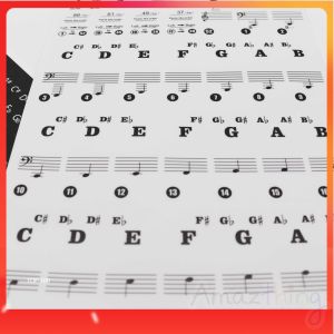 Amazthing 37/49/61/76/88 Keys Piano/Keyboards Removable Sticker for Beginner 钢琴键盘贴纸