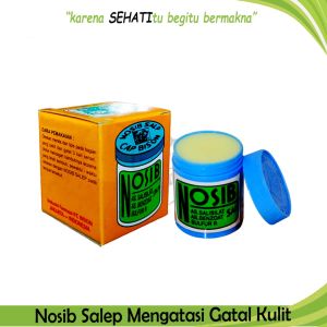 Nosib Salep Cap Bison - Salep Gatal  Kurap  Kadas Dan Panu.