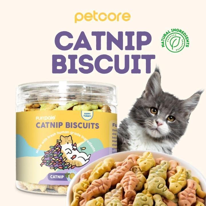 Catnip biscuits outlet