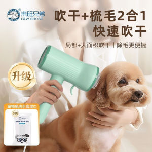 L & W BROS. Dog Hair Dryer Brushed All-in-One Machine Bichon TeddyHair Dryer Cat Comb Water Drying Dedicated Handy Tool
