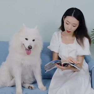Pet flea remover flea comb electric flea brush for dogs cleaning and grooming tool for pets