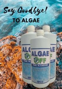 Algaeoff Pool Algaecide 1 liter