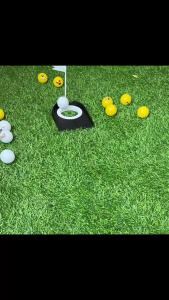 Light weights Golf Putting Cup with Flags Golf Putters Regulation Cup Plastic Golf Training Aids Indoor Golf Putting Hole