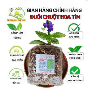 100g cây đuôi chuột hoa tím sấy khô