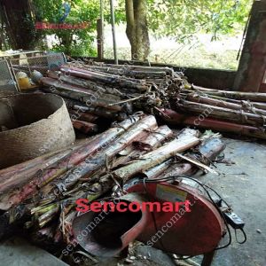 Máy xay chuối mịn trộn cám cho gà vịt chỉ trong 1 lần xay tặng kèm d-ao xa cua