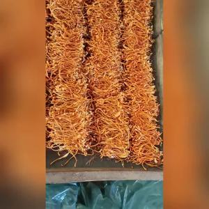 Instant Soup Cordyceps Flower Edible Mushroom Dried Goods 虫草花 菌菇干货 煲汤