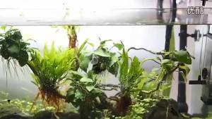 SUNSUN Fish Tank Filter Aquarium Oil Film Remover surface skimmer remove protein water air oxygen adjustable water pump cotton