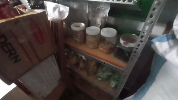 Buyer review video 2