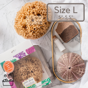 KALLA SPONGE ฟองน้ำธรรมชาติ ชนิด Honeycomb สีน้ำตาล สำหรับอาบน้ำ (กรุณาระบุว่าใช้กับเด็กทารก ร้านจะเลือกก้อนนุ่มๆให้ค่ะ)