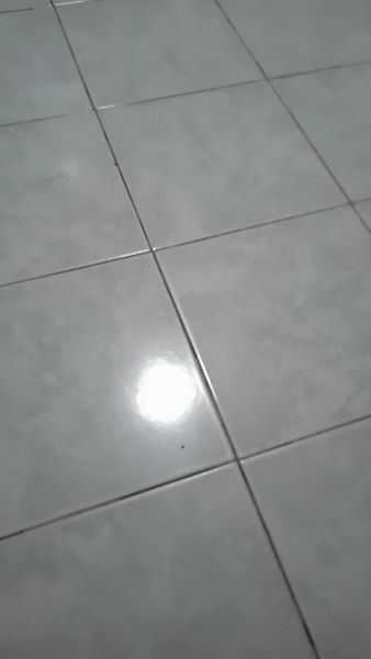 Buyer review video 6