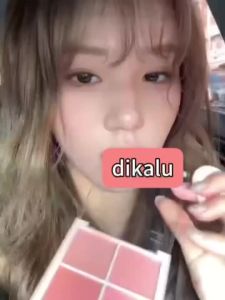 Kem Blush 4 màu DIKALU - Trang điểm khỏa thân làm sáng da Matte Natural Lâu trôi Giá cả phải chăng Multi-Palette Choice