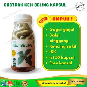 Obat batu ginjal inveksi saluran kemih ISK kencing batu herbal jamu suplemen kesehatan kapsul kejibeling isi 50 kapsul