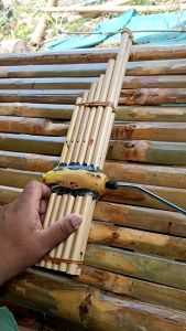 แคน เครื่องดนตรีพื้นบ้าน