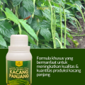 Pupuk Khusus Untuk  Pelebat Buah Tanaman Kacang Panjang / Pupuk Booster Cair Penyubur Kacang Panjang. 
