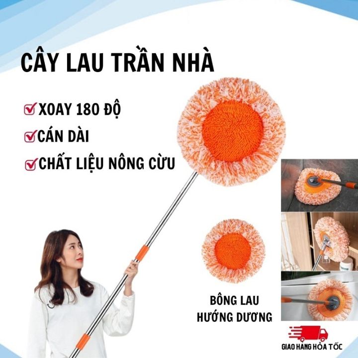 Cây Lau Nhà, Cây Lau Trần Nhà Hình Hoa Hướng Dương Đa Năng Tiện Dụng ...