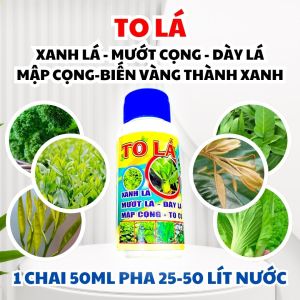 NPK Spray Fertilizer for Fast Growth and Lush Green Leaves - 50ml Bottle