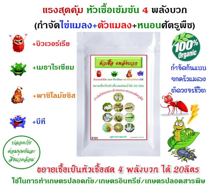 หัวเชื้อ 4 พลังบวก บิวเวอร์เรีย เมธาไรเซียม พาซิโลมัย บีที