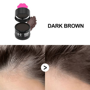 Sevich Hair Shadow Powder Waterproof Upgraded Mud Texture Hairline Powder 4g