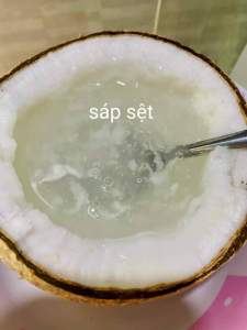 (Nhập RS0822 giảm 30k cho đơn 99k) Dừa Sáp Loại Cơm Vừa Nước Sệt Cơm Béo Giá Rẻ 800g-1Kg