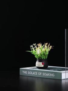 แผ่นพลาสติกพีวีซีใสแข็ง (พาร์ทิชันมัลติฟังก์ชั่น/แผ่น/กระดานแสดงผล)