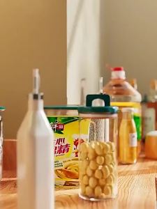 Kitchen cabinet Double Tier Multi-Functional Storage Rack Sealed Seasoning Rack Dust