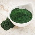 Bột Tảo Xoắn Nhật Nguyên Chất Obaxua Trẻ Hóa Dưỡng Sáng Da Gói 75gr. 