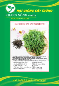 Hạt giống rau sao nhái rừng (hay còn gọi là rau nhái) Cây rất dễ sống có thể trồng quanh năm và thích nghi tốt với nhiều loại đất.