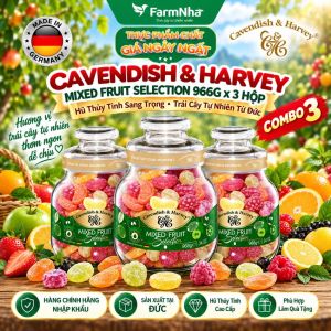 (Combo 3) Kẹo Trái Cây Cavendish & Harvey Mixed Fruit Selection 966g Hủ Thủy Tinh Sang Trọng - Vị trái cây tự nhiên