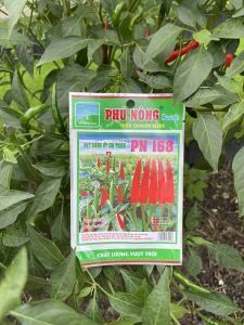 Bộ Hạt Giống Ớt Phú Nông Đa Dạng: Ớt Xiêm Xanh/PK 168/89/PN 29 - Chất Lượng Cao