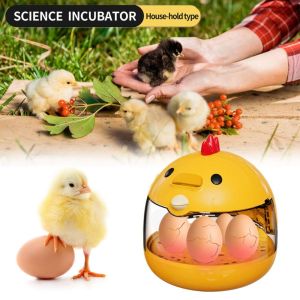 LETIGO Mini Egg Incubator Temperature Control Full Automatic Brooder Incubator High Quality Low Noise Hatchery Machine Chicken Duck Quail Bird