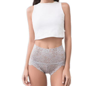 Jubys Full Lace Transparent Briefs Panties High-waist Women Underwear