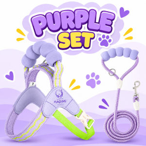 Adjustable Puppy Harness with Leash Soft Pet Vest for Daily Walks