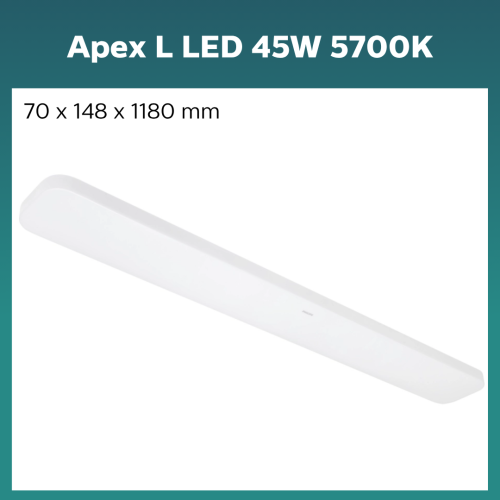 Best Philips Ceiling Lights for HDB Flats With 2.6m Ceilings