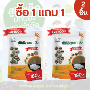 บิวเวอร์เรีย + เมธาไรเซียม กัปตันเมธา+บิว ยาฆ่าแมลง (500กรัม) ปลอดภัย 100 %