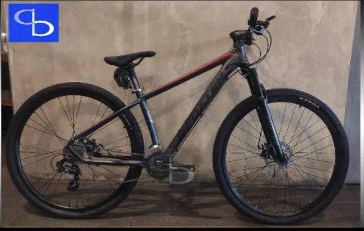 Foxter cheap bike 29er