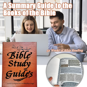 Bible Summary Guide Labelable Index Summary Guide To Books Of The Bible Portable Study Tool