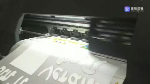 Quần short in anime cho người lớn quần thể thao hai lớp quần short dài vừa cho thể dục thể thao