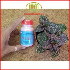 Keo liền da cây liền sẹo cây bảo vệ vết cắt sau khi ghép cây cắt tỉa cành cây