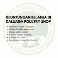 EXTRA JOSS Pakan Makanan Khusus ternak breeding burung kenari cepat birahi dan bertelur. 