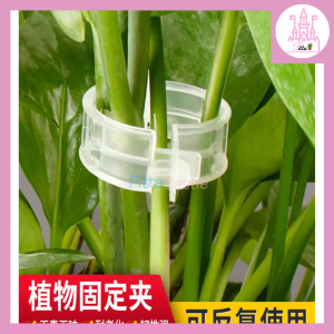 Garden Plant Support Clip (6pcs) 植物固定夹 (STC22499)