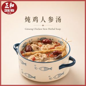 炖鸡人参汤包 107克 Ginseng Chicken Stew Herbal Soup for Vitality Dun Ji Ren Shen Tang Herbal Soup 107g 人参桂圆百合 Sup Herba