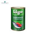 Ligo Sardines in Tomato Sauce 155g Pack of 6. 