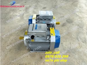 Motor điện toàn phát  mô tơ điện 22kw tua nhanh 2900v/p giá rẻ tại  lạng sơn