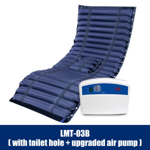 Salorie Bedsore Prevention Air Cushion Bed Medical Gas Bed Air Compression Massage Mattress Relieve Ulcers for Bedridden Elderly