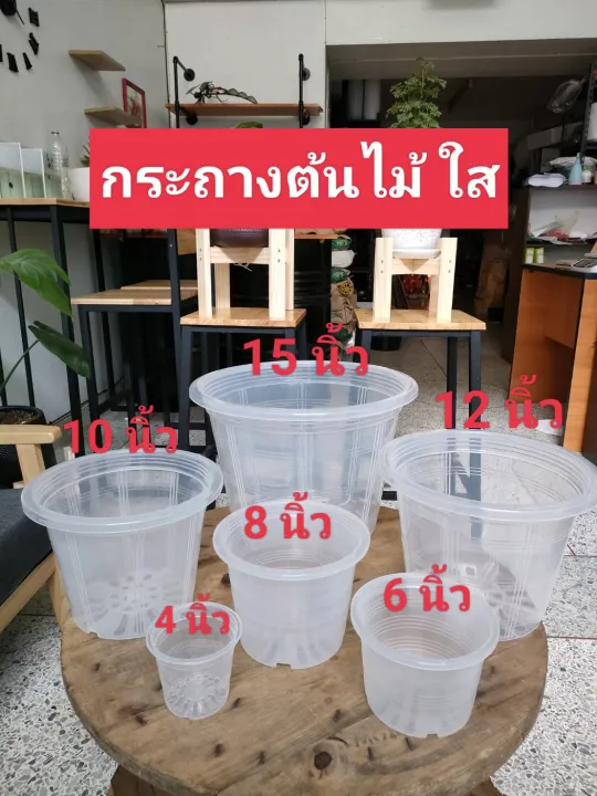 กระถางต้นไม้พลาสติกสีใส ขนาด 4-17 นิ้ว สำหรับแคนตัส