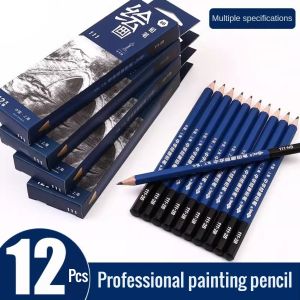 12pcs Painting Pencil Professional Graphite Sketching Pencils Set for Drawing HB-12B Wooden Pencils Art Supplies