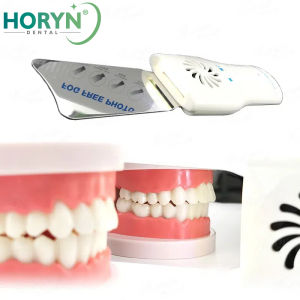 Dental Dentist Imaging LED DeFog Photo Mirrors High Hardness Stainless Steel Cavity Obervation Reflector Oral Orthodontic